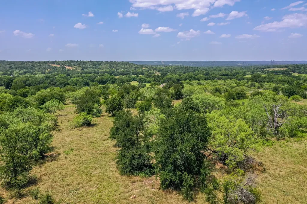 100 Acres Fm 1156 Jacksboro TX 76458