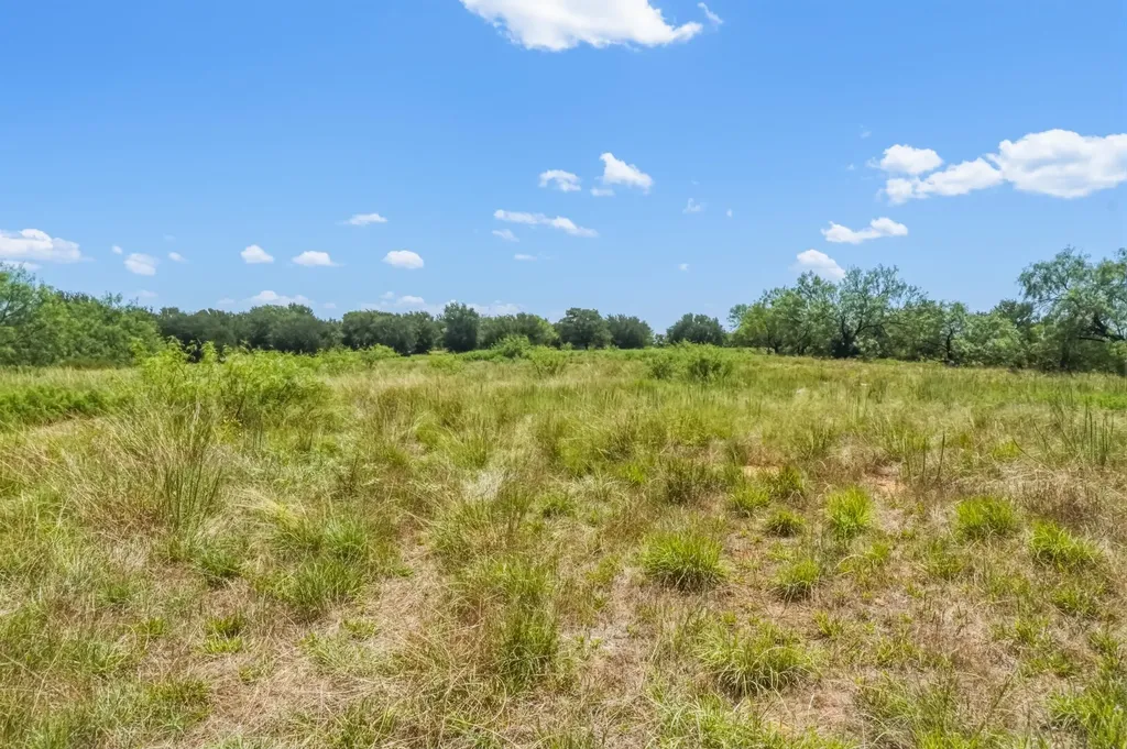 100 Acres Fm 1156 Jacksboro TX 76458