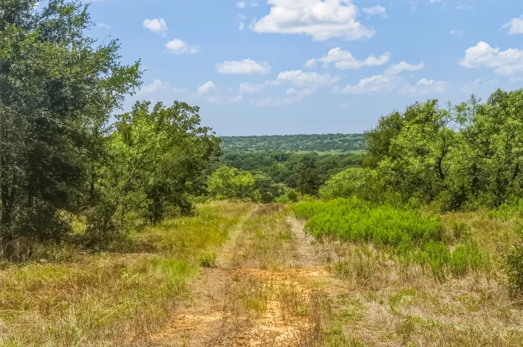 100 Acres Fm 1156 Jacksboro TX 76458