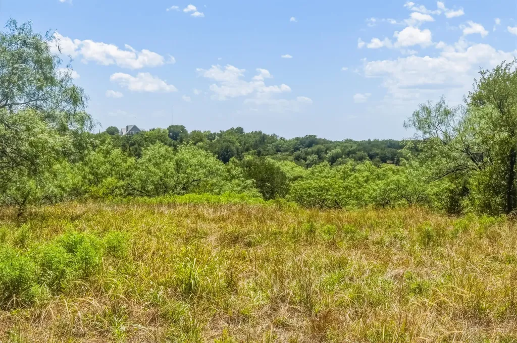 100 Acres Fm 1156 Jacksboro TX 76458