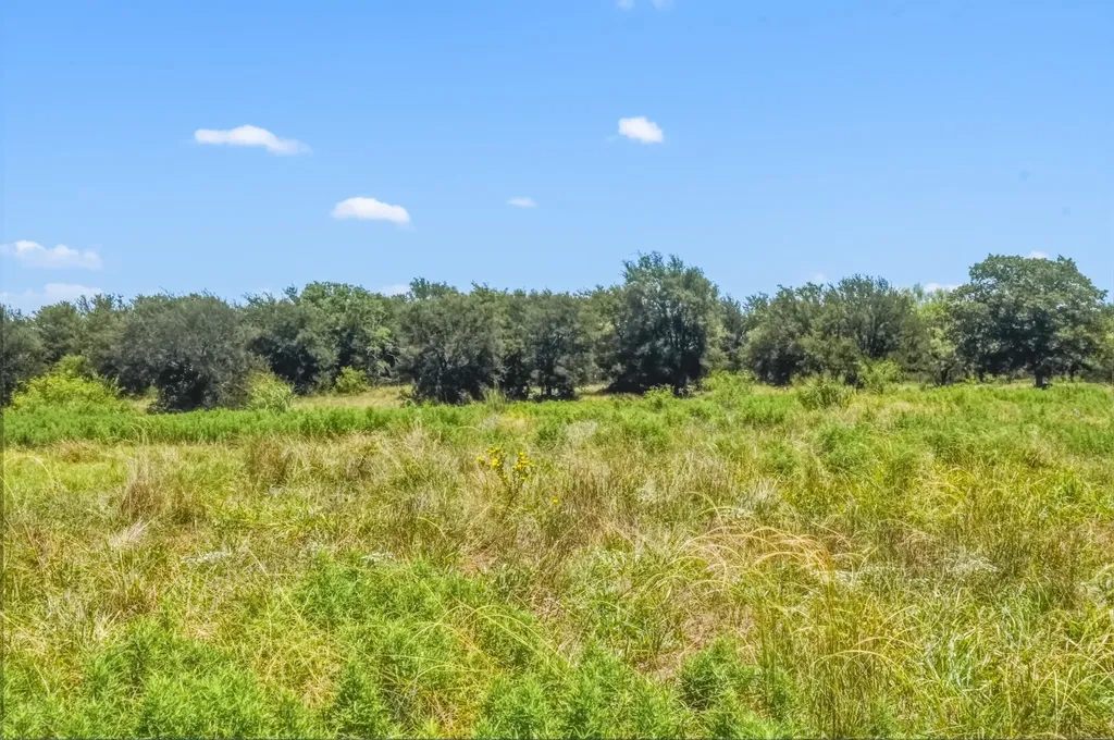 100 Acres Fm 1156 Jacksboro TX 76458