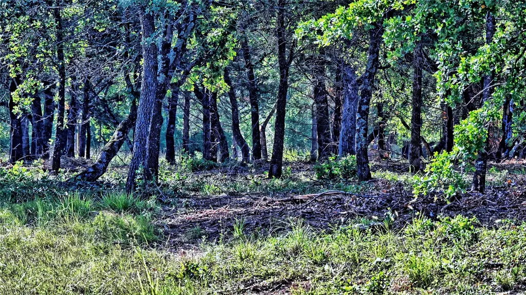Lots 352-354 Preserve Court Sunset TX 76270