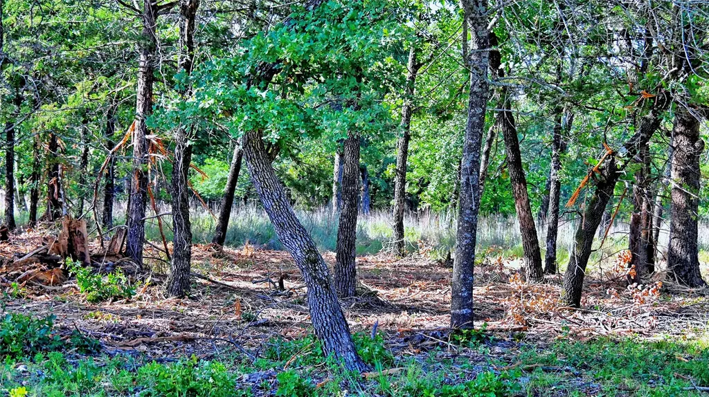 Lots 352-354 Preserve Court Sunset TX 76270