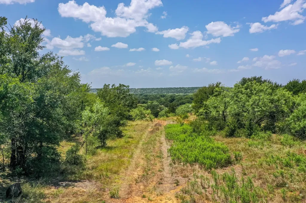 9901 Fm 1156 Jacksboro TX 76458