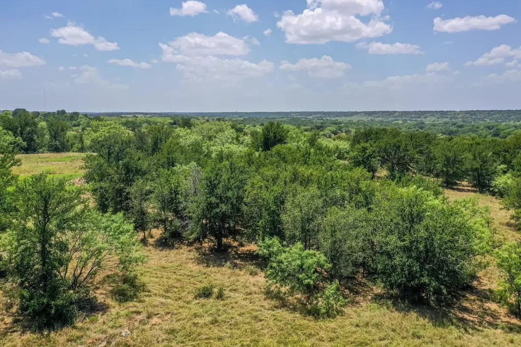 9901 Fm 1156 Jacksboro TX 76458