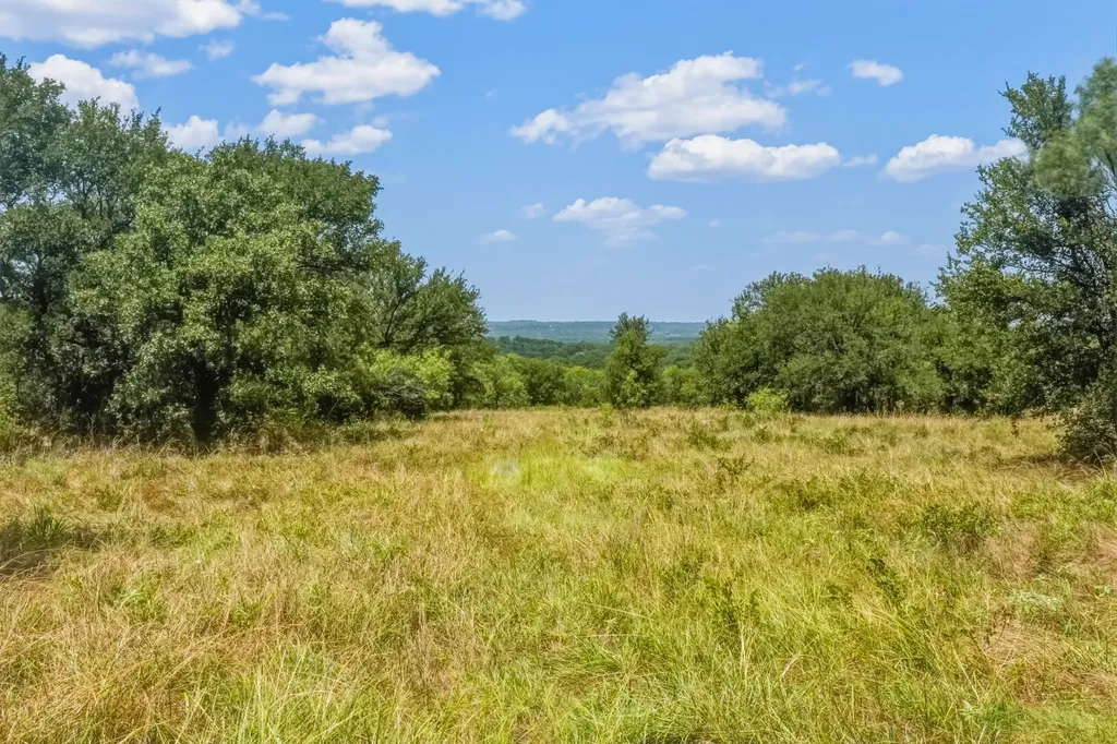 9901 Fm 1156 Jacksboro TX 76458