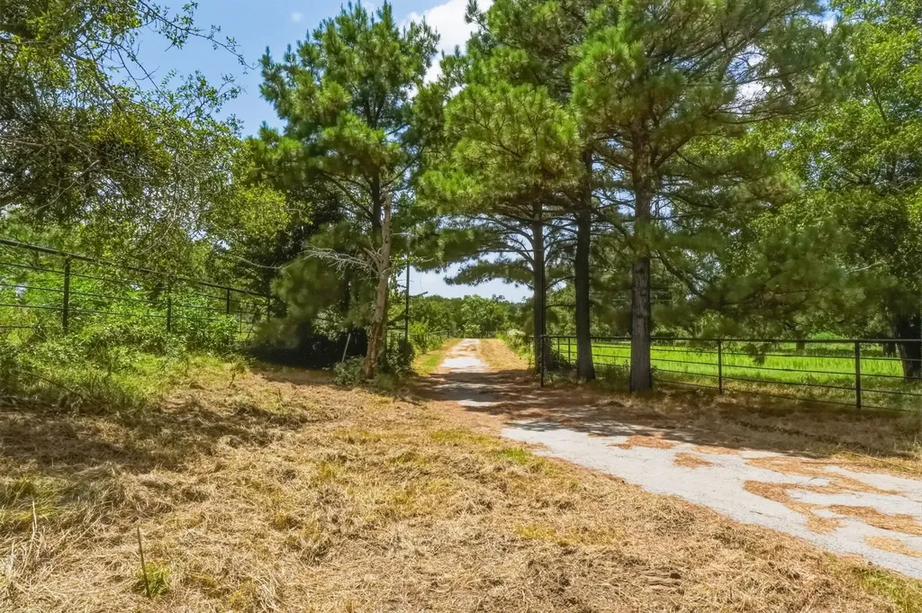 9901 Fm 1156 Jacksboro TX 76458