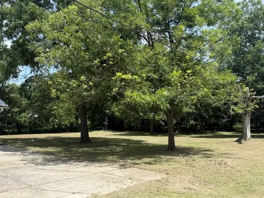 131 SE 7th Street Cooper TX 75432