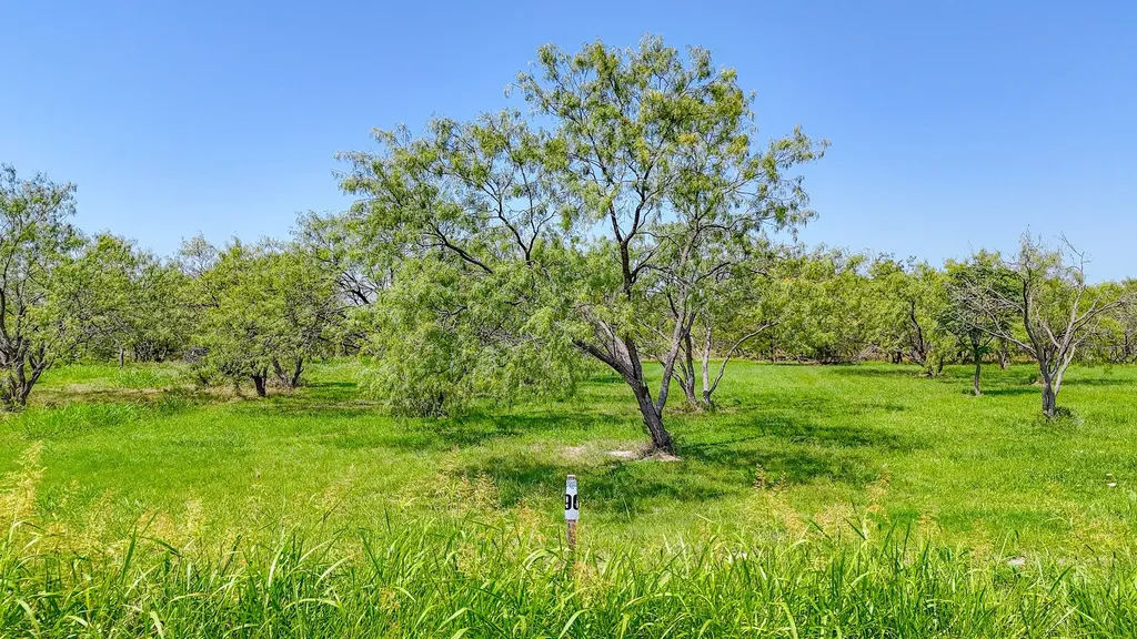 Lot 90 Richland Park Drive Corsicana TX 75109