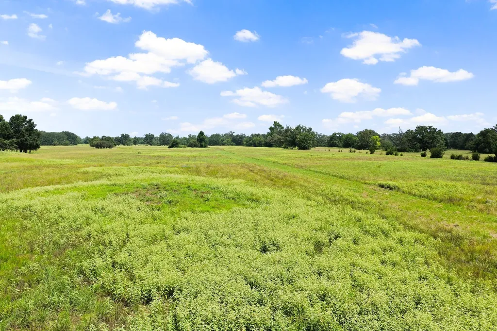 495 NE County Road 2220 Talco TX 75487