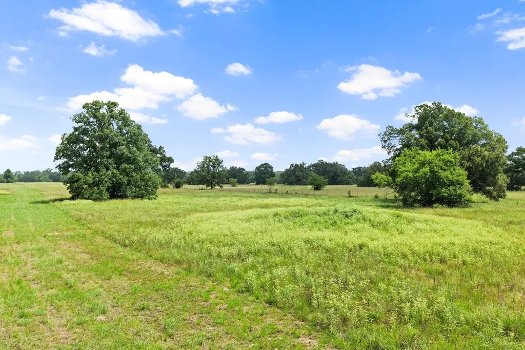 495 NE County Road 2220 Talco TX 75487