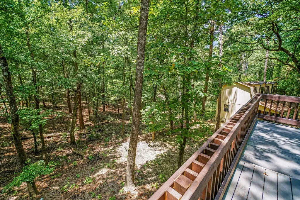 2228 W Holly Trail Holly Lake Ranch TX 75765