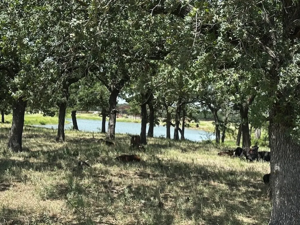 10400 Lipan Highway Lipan TX 76462