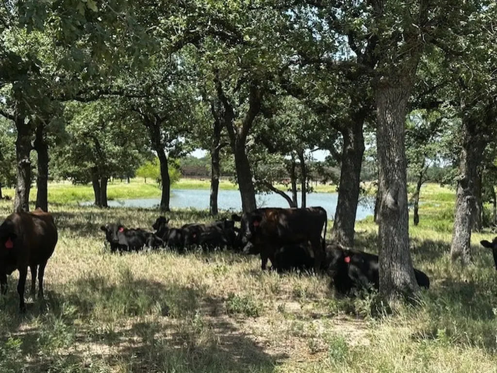 10400 Lipan Highway Lipan TX 76462