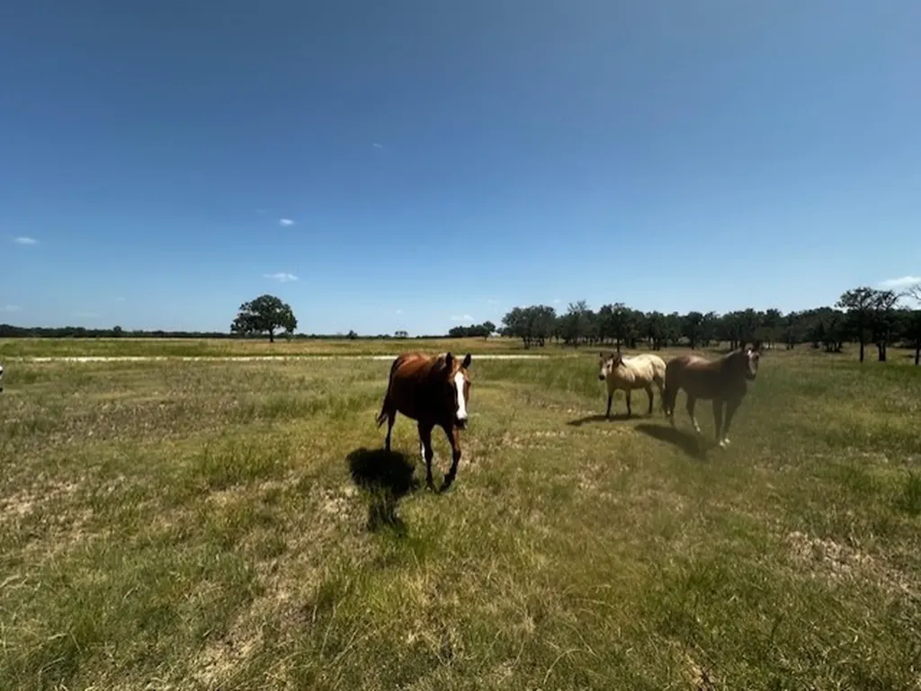 10400 Lipan Highway Lipan TX 76462