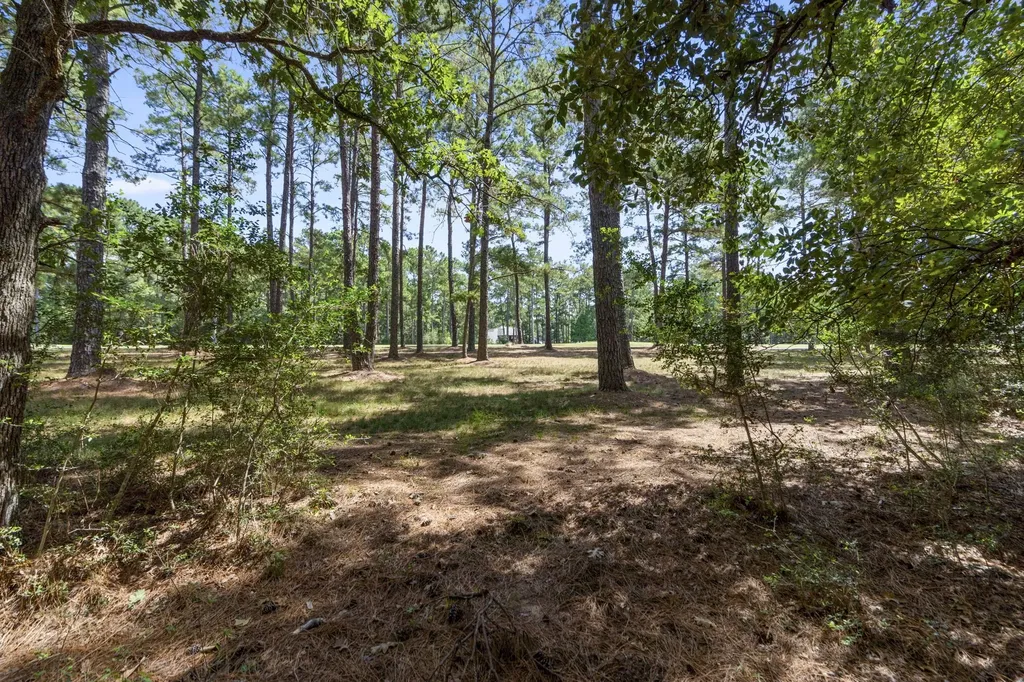 37432 Club House Lane Montgomery TX 77355