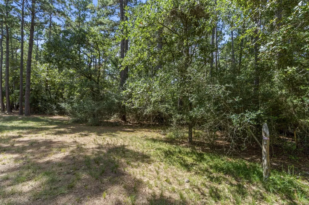 37432 Club House Lane Montgomery TX 77355