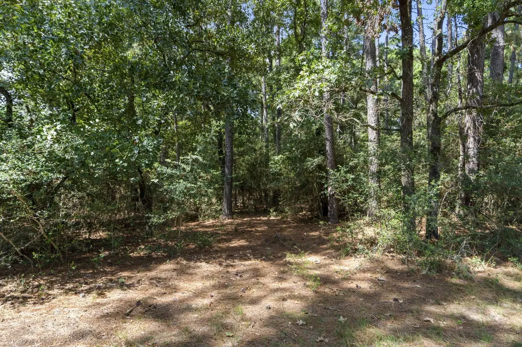 37432 Club House Lane Montgomery TX 77355