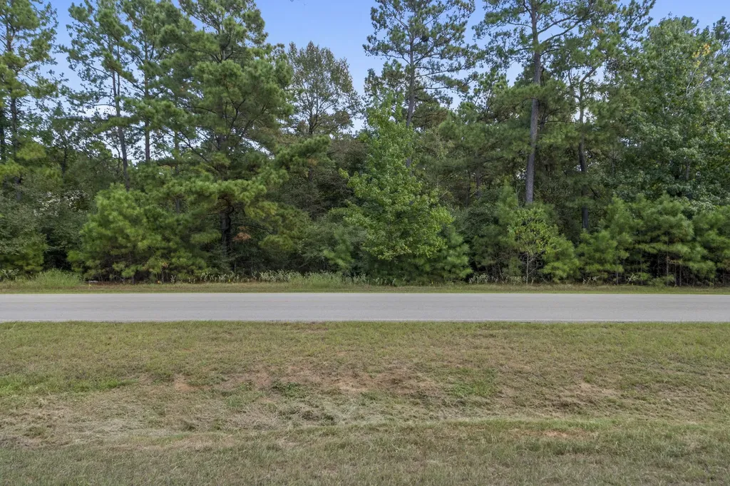 37432 Club House Lane Montgomery TX 77355