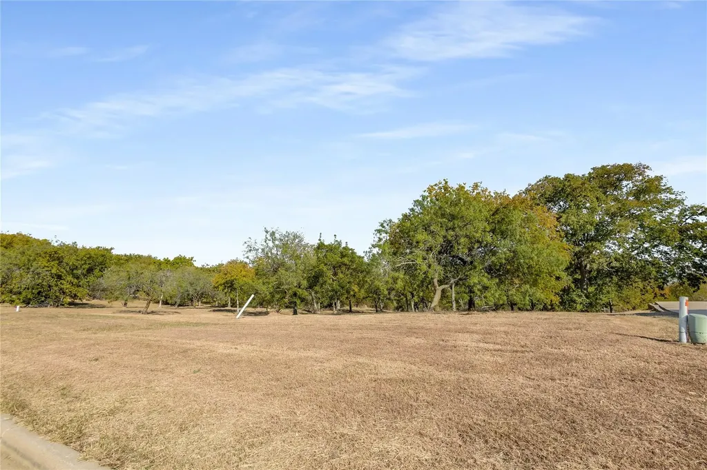 1123 Mallard Pointe Drive Grand Prairie TX 75104
