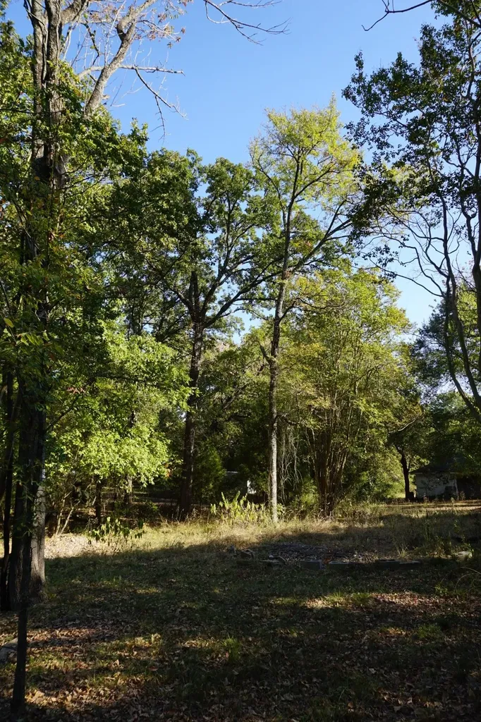 1714 Doc Holiday Log Cabin TX 75148