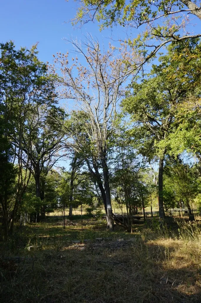 1714 Doc Holiday Log Cabin TX 75148