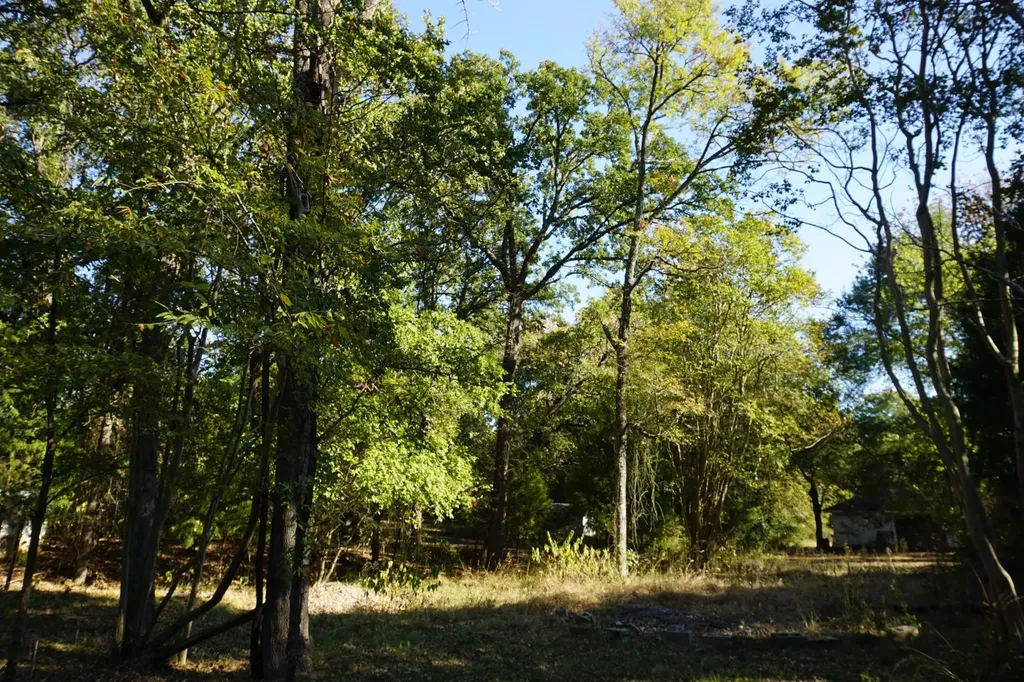 1714 Doc Holiday Log Cabin TX 75148