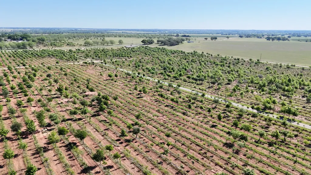401 County Road 326 Comanche TX 76442