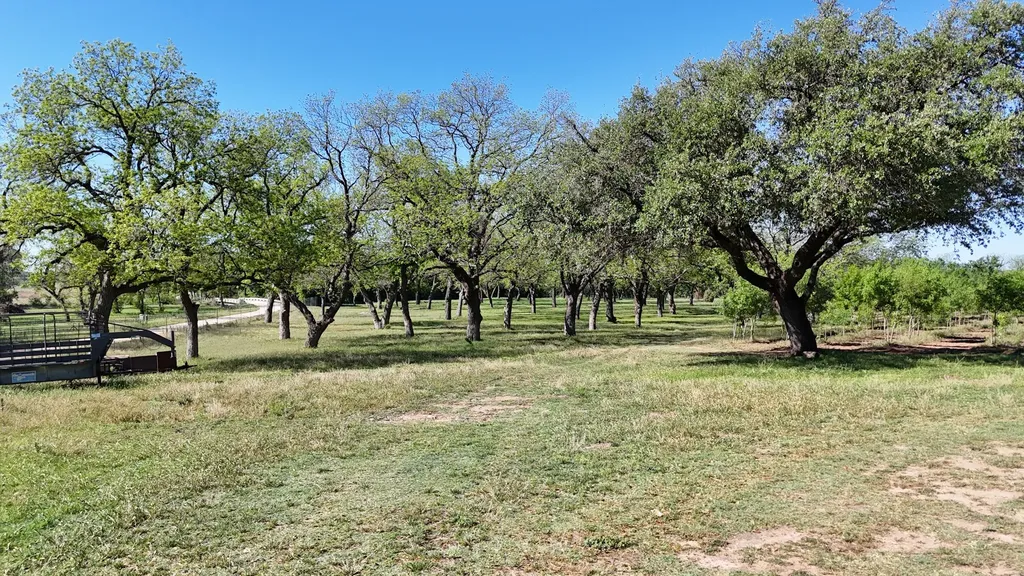 401 County Road 326 Comanche TX 76442