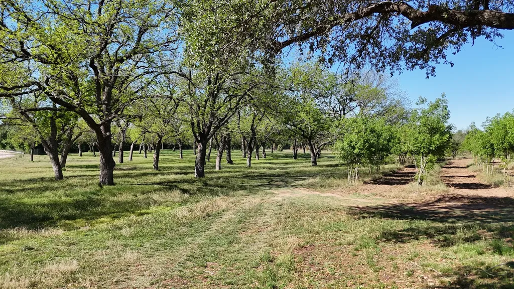 401 County Road 326 Comanche TX 76442