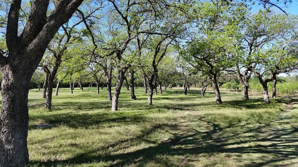 401 County Road 326 Comanche TX 76442