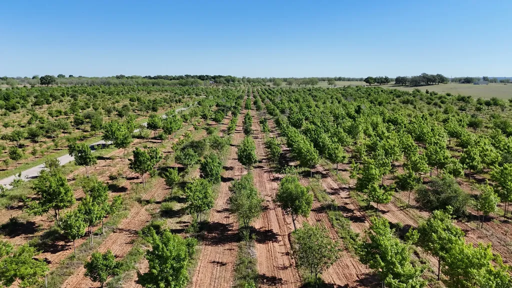 401 County Road 326 Comanche TX 76442