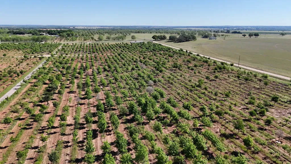 401 County Road 326 Comanche TX 76442