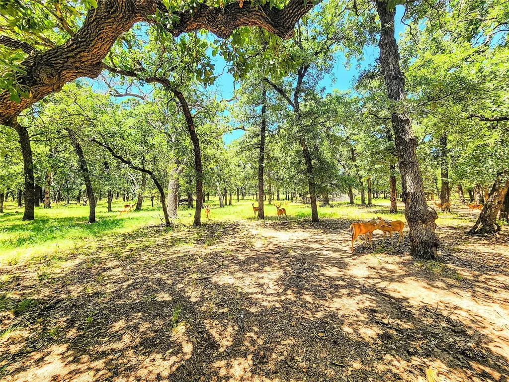 286 Cr 271 Abilene TX 79562