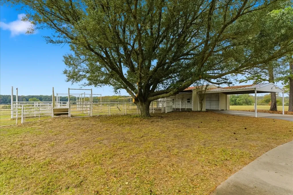 10736 E Highway 154 Sulphur Springs TX 75482