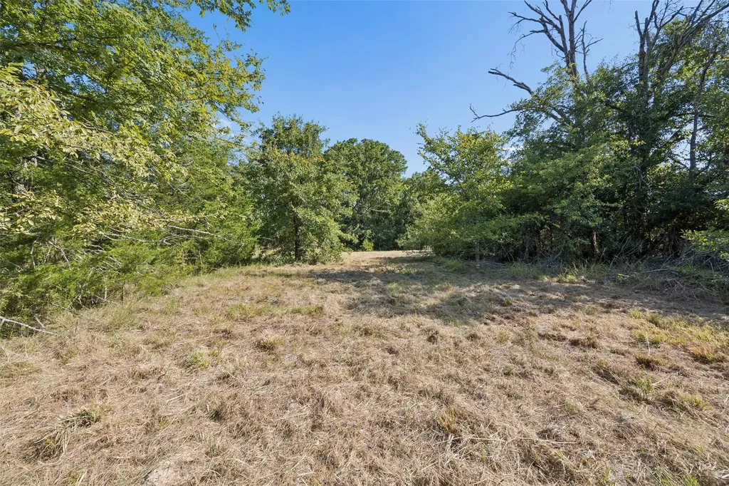 000 Hare Lane Greenville TX 75402
