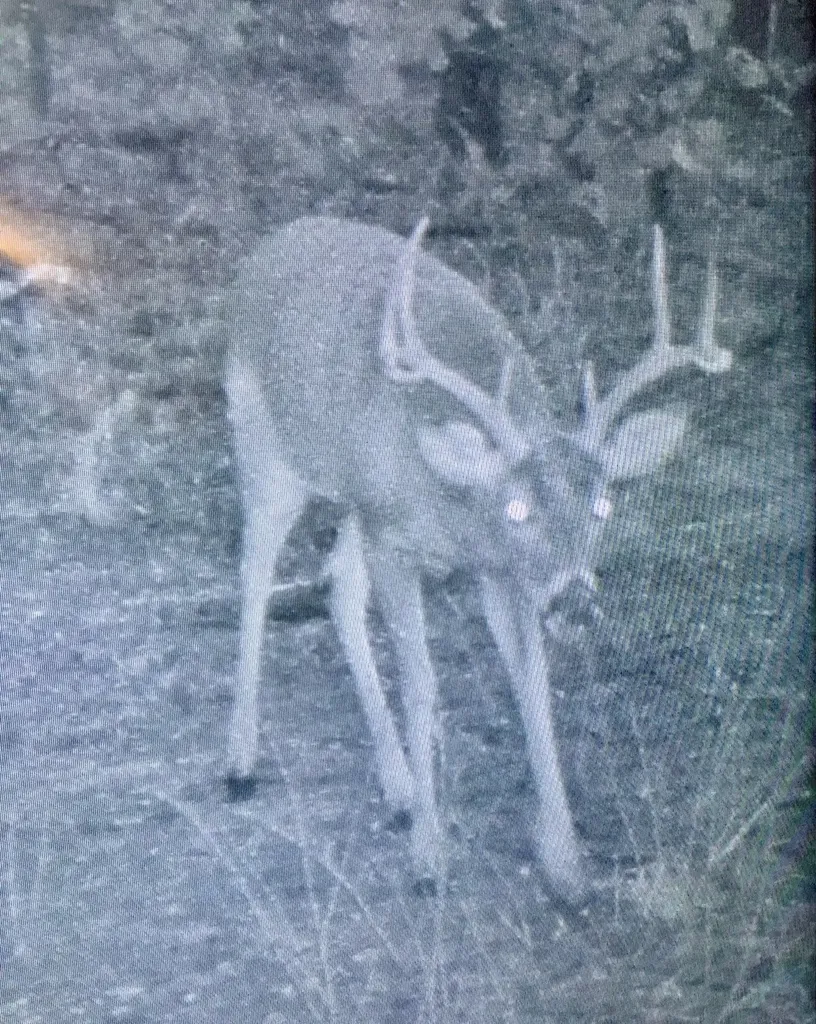 186275 N 4380 Road Antlers OK 74562