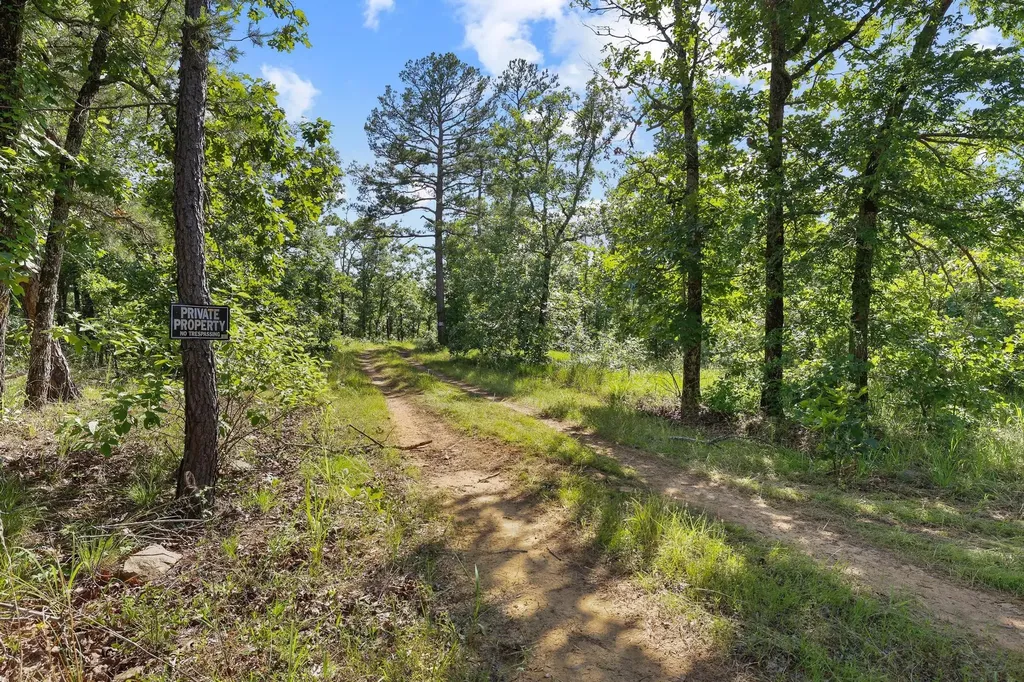 186275 N 4380 Road Antlers OK 74562