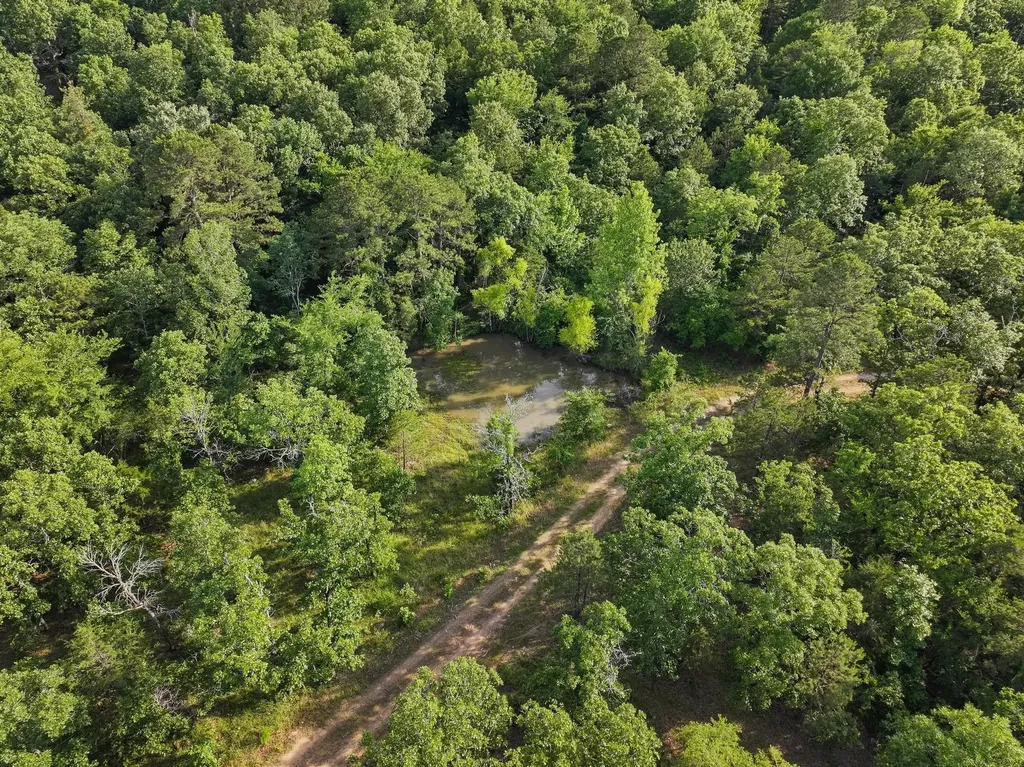 186275 N 4380 Road Antlers OK 74562