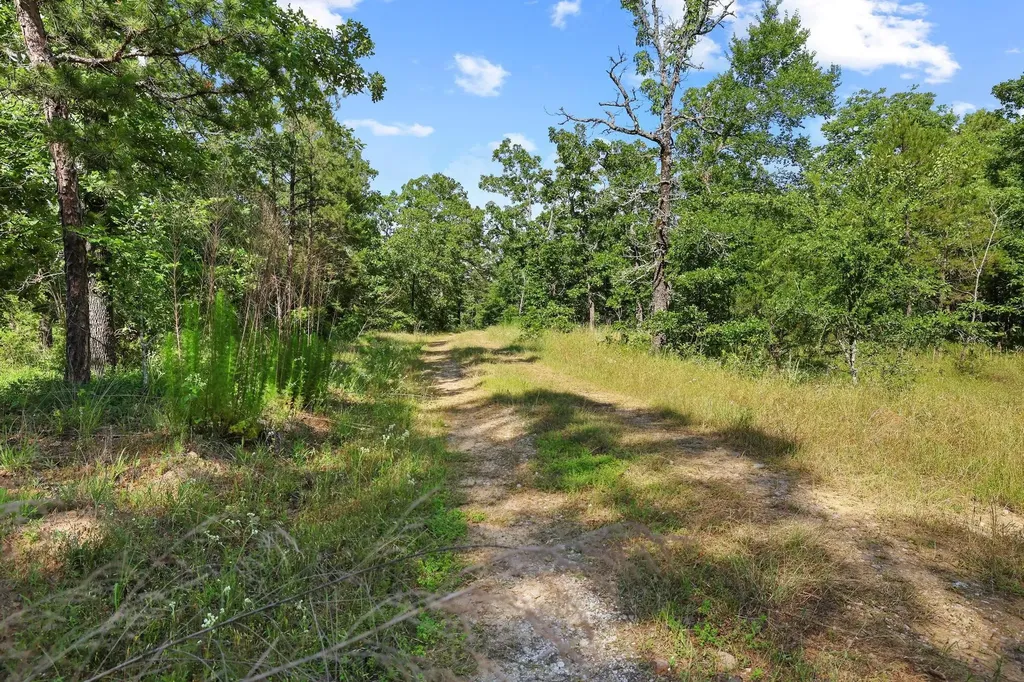 186275 N 4380 Road Antlers OK 74562