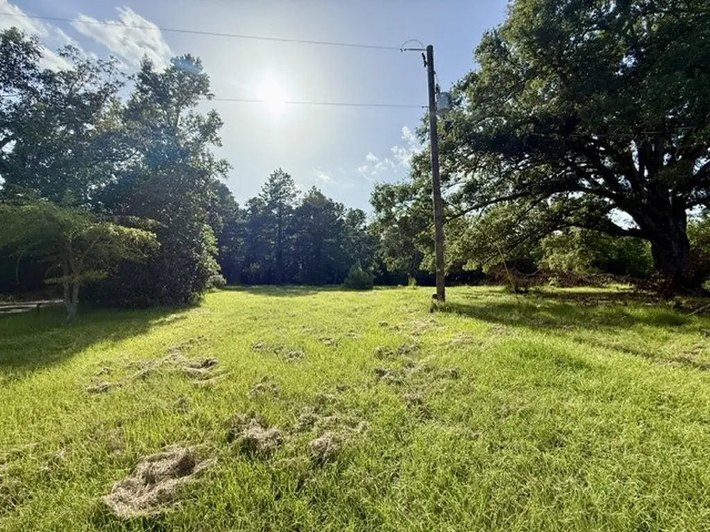 115 Jackson Bienville LA 71008