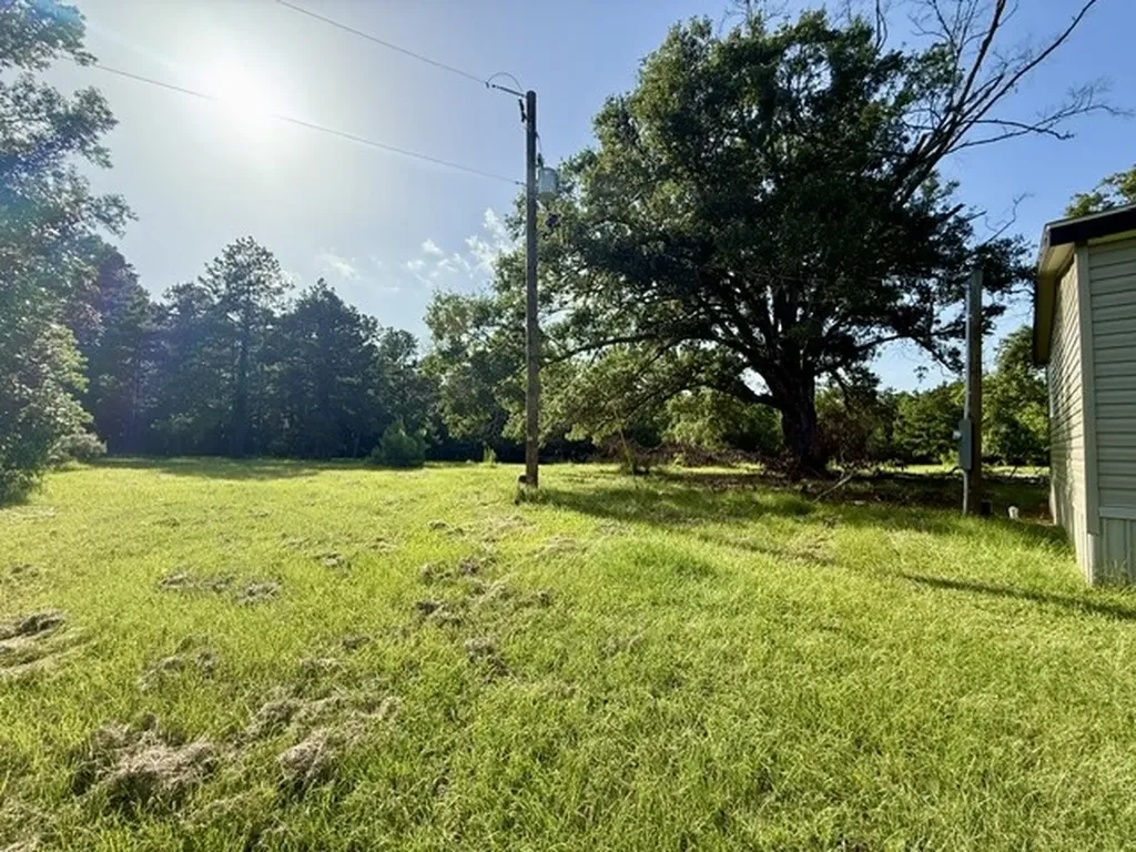 115 Jackson Bienville LA 71008