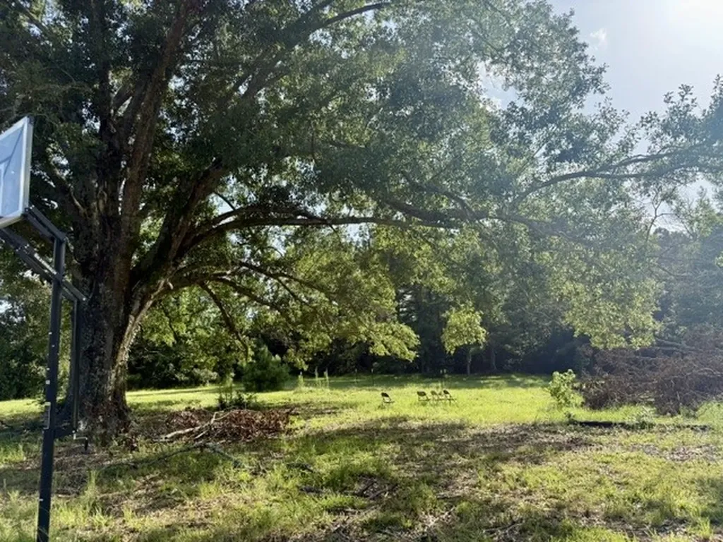 115 Jackson Bienville LA 71008