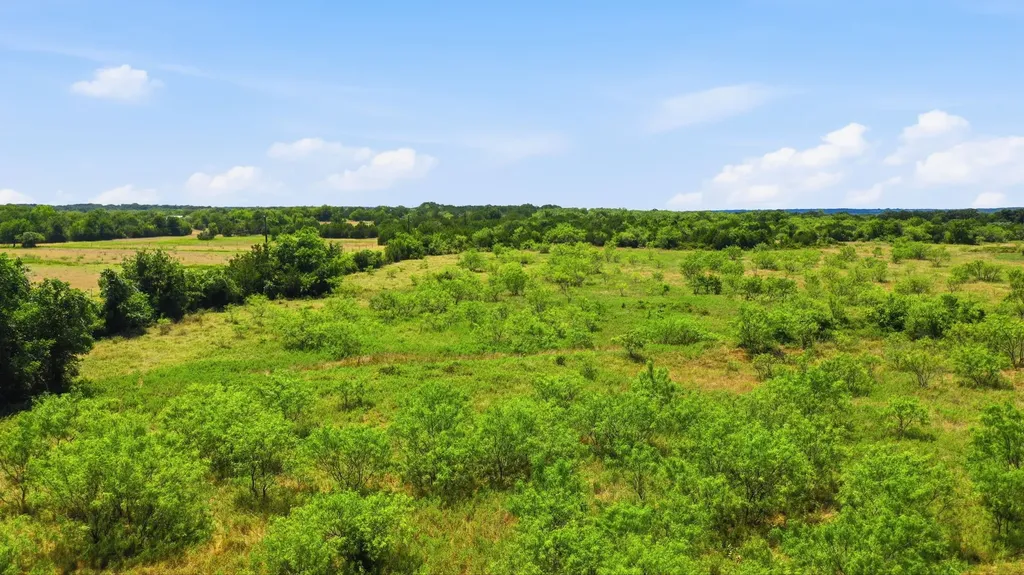Tbd E Fm 2210 E Poolville TX 76487