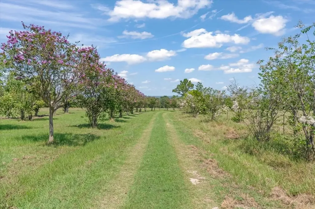 2503A Vz County Road 3804 Wills Point TX 75169