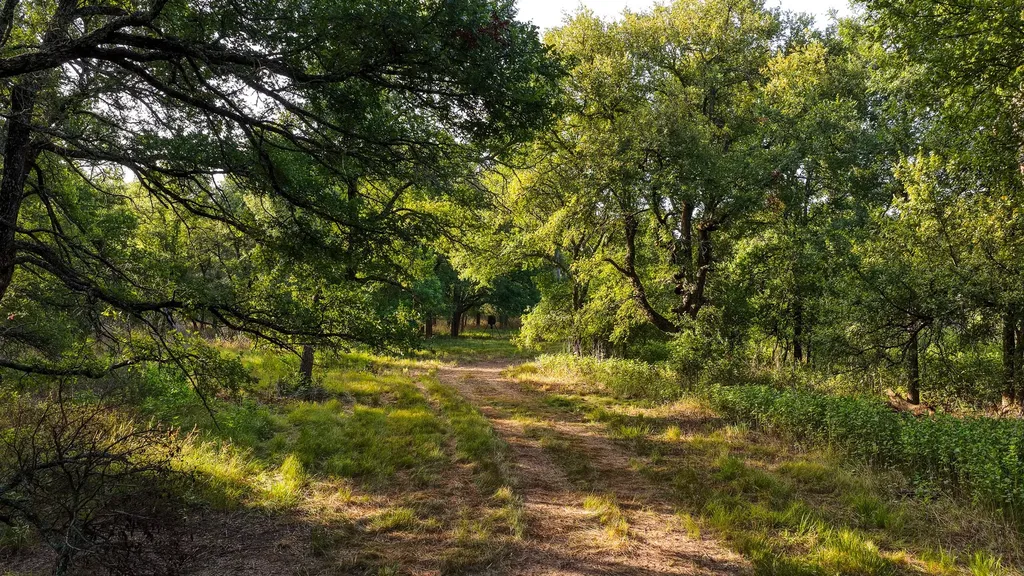 3064 Puddin Valley Road Bowie TX 76230