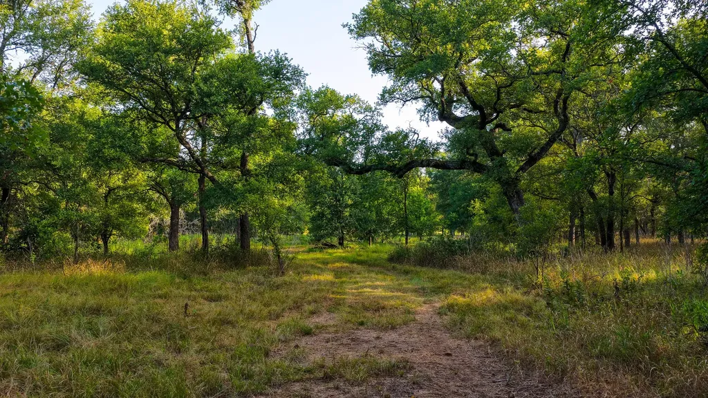 3064 Puddin Valley Road Bowie TX 76230