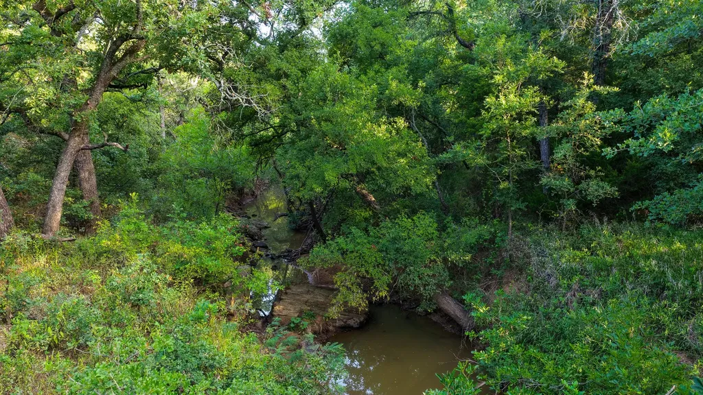 3064 Puddin Valley Road Bowie TX 76230