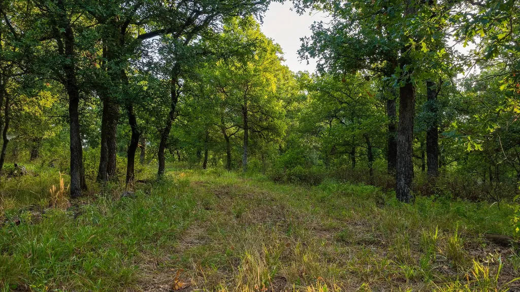 3064 Puddin Valley Road Bowie TX 76230