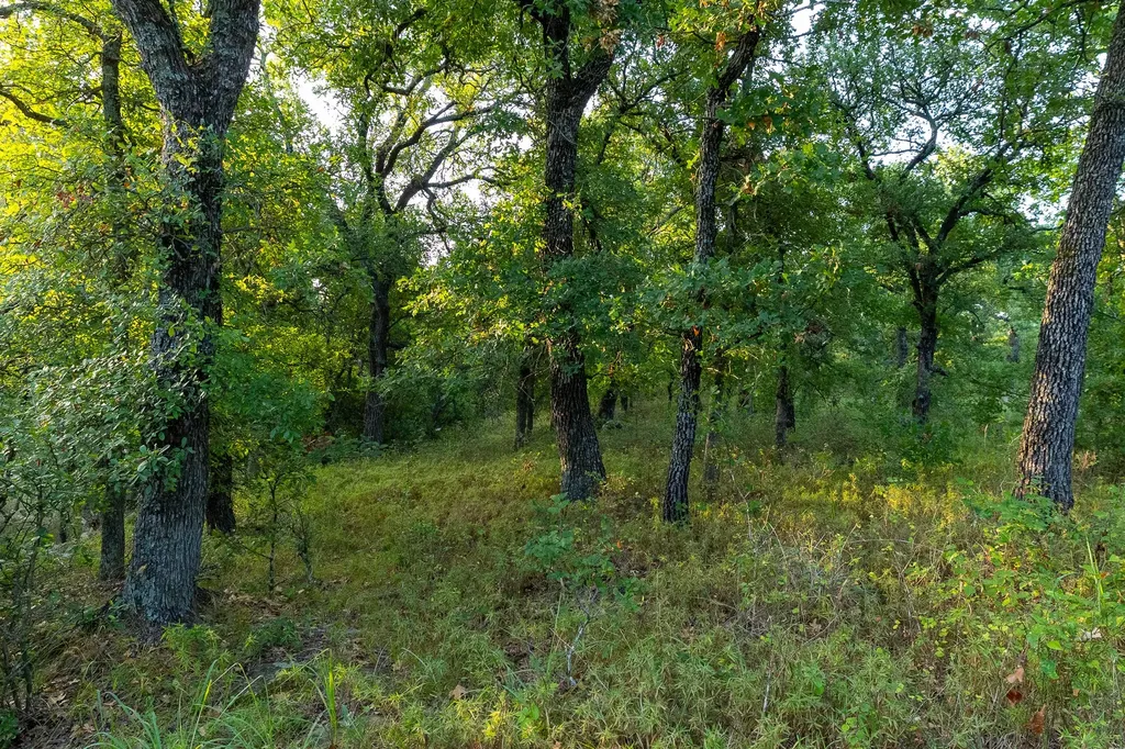 3064 Puddin Valley Road Bowie TX 76230